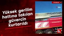 Diyarbakır’da yüksek gerilim hattına takılan güvercin kurtarıldı