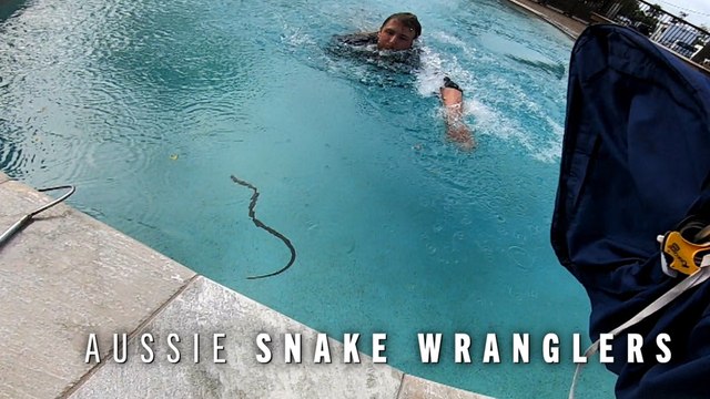 Diving For Fresh Water Snakes | Aussie Snake Wranglers Clip | EarthX