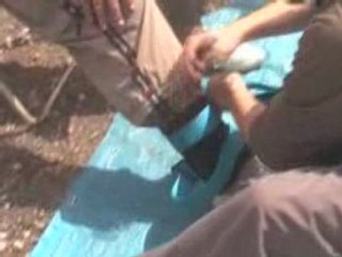 Nos Sauts OVS la Tour sur Orb