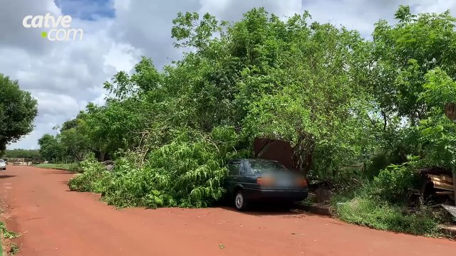 Galhos caem em carro estacionado na região Norte de Cascavel