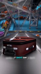 Les valises a l’aeroport