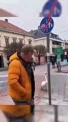 aadami aur Parinde🐦