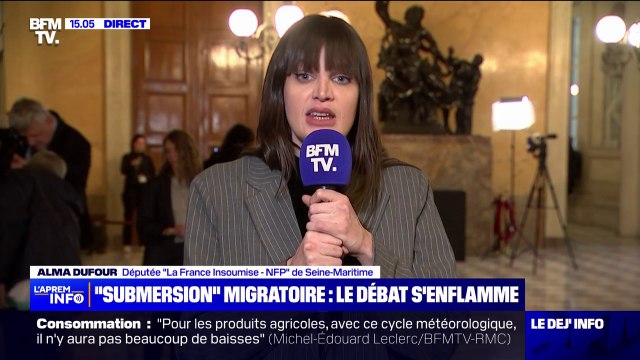 Propos de François Bayrou sur l'immigration: Une concession de trop faite au Rassemblement national , pour Alma Dufour (LFI)