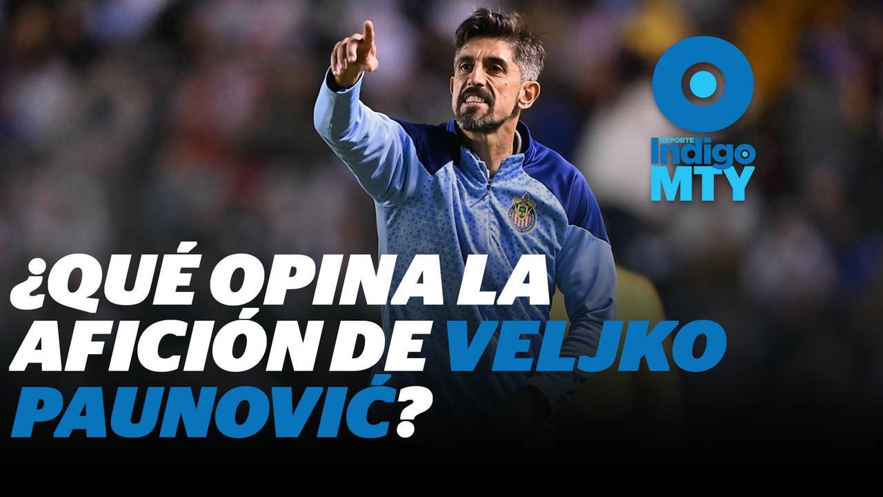 La afición de Tigres rechaza a Veljko Paunović | Reporte Indigo