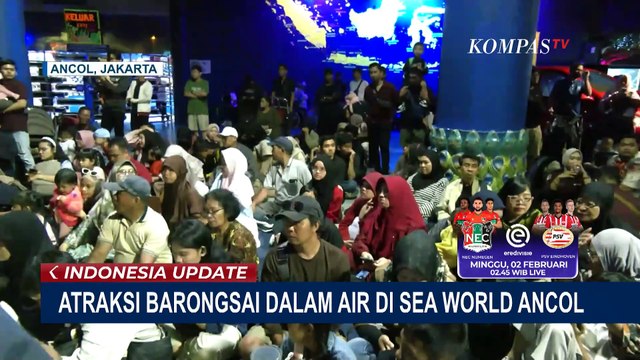 Rayakan Imlek, Begini Kemeriahan Atraksi Barongsai Dalam Air di Sea World Ancol