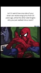 Struggling with how to structure an English essay?