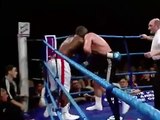 Legendary in its kind knockout performed by British heavyweight Danny Williams, who managed to defeat Mark Potter in  2000, boxing with a dislocated shoulder