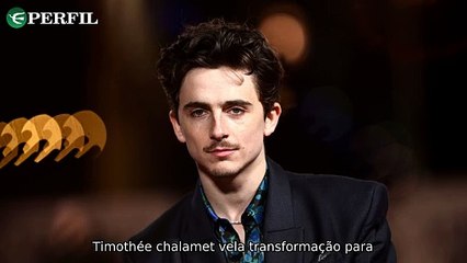 "Timothée Chalamet engorda para viver Bob Dylan, ex-Guns N' Roses com Alice Cooper e premiações"