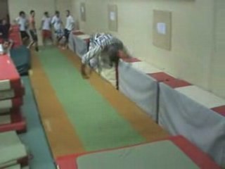 Un et demi (salto avant)