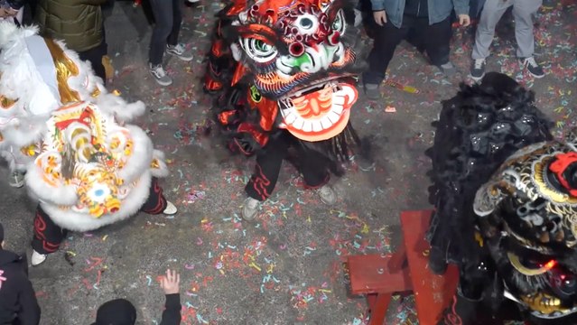 Fun Facts About Lunar New Year You Might Not Know!