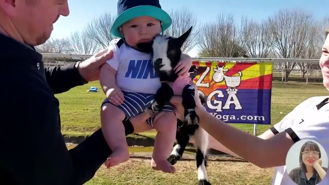 Oh my God i Crazy Babies Meet the Animals in the Farm