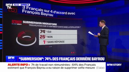 LES ÉCLAIREURS - "Submersion" migratoire: trois Français sur quatre partagent le constat de François Bayrou