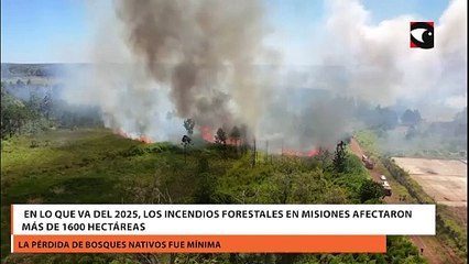 En lo que va del 2025, los incendios forestales en Misiones afectaron más de 1600 hectáreas