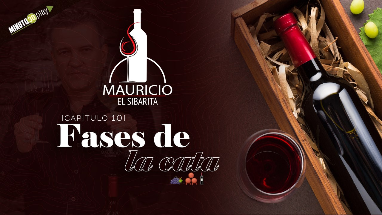 10. Fases de la cata