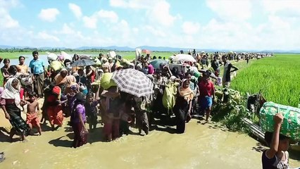 Why We Hate 5of6 Crimes Against Humanity