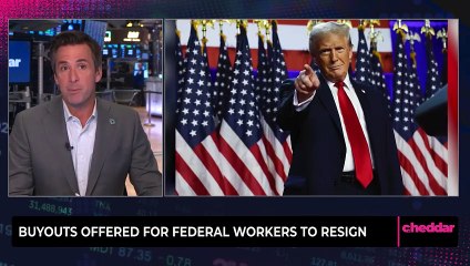 Buyouts Offered for Federal Workers to Resign