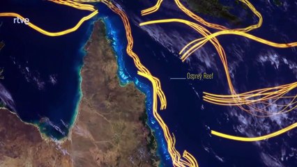 "Descubre la Gran Barrera de Coral: Un Documental Inmersivo para los Visitantes"