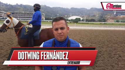 ¡Dotwing Fernández, Entrenador!