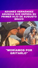 Adianez Hernández y Augusto Bravo anuncian embarazo tras escándalo de infidelidad con Rodrigo Cachero.