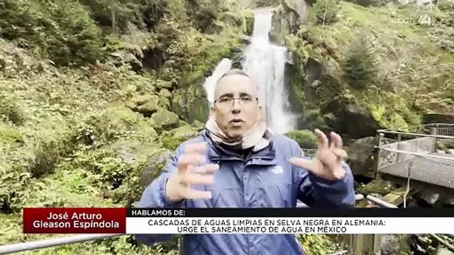 Cascadas de aguas limpias en Selva Negra en Alemania: Arturo Gleason