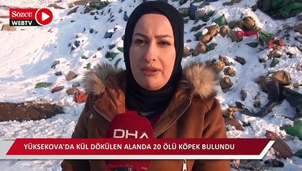 Yüksekova'da kül dökülen alanda 20 ölü köpek bulundu