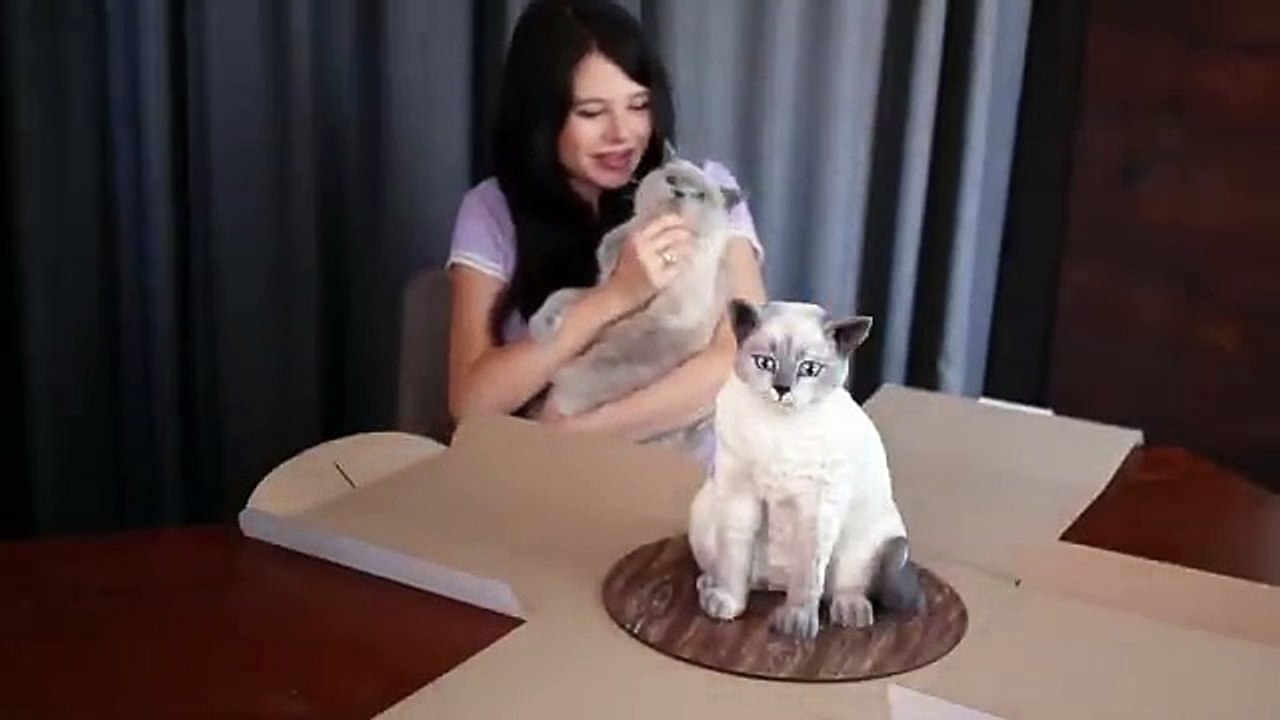 Cat reaction on cake which is similar to cat 🐈