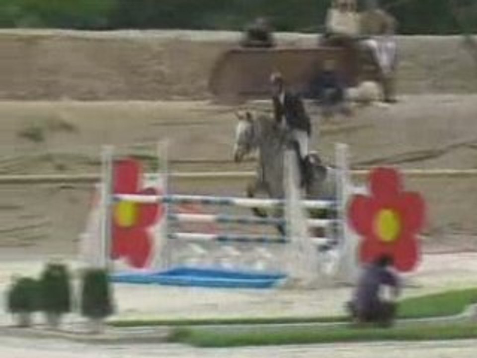 Cheval Play boy bois soileil villeneuve loubet