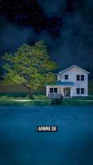 Un arbre de 2 tonnes