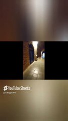 徳川埋蔵金はここにある？#糸井重里 #石坂浩二 #望月会長 #赤城山 #shorts ＃徳川埋蔵金