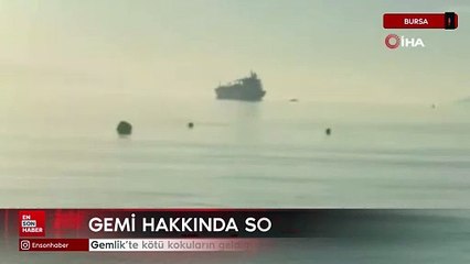 Bursa Gemlik’te kötü kokuların geldiği gemi hakkında soruşturma başlatıldı