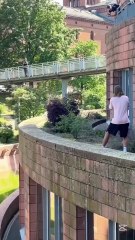 Very funny video.... #control your 😁😃😀