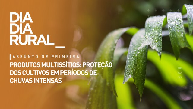 Produtos multissítios: proteção dos cultivos em períodos de chuvas intensas