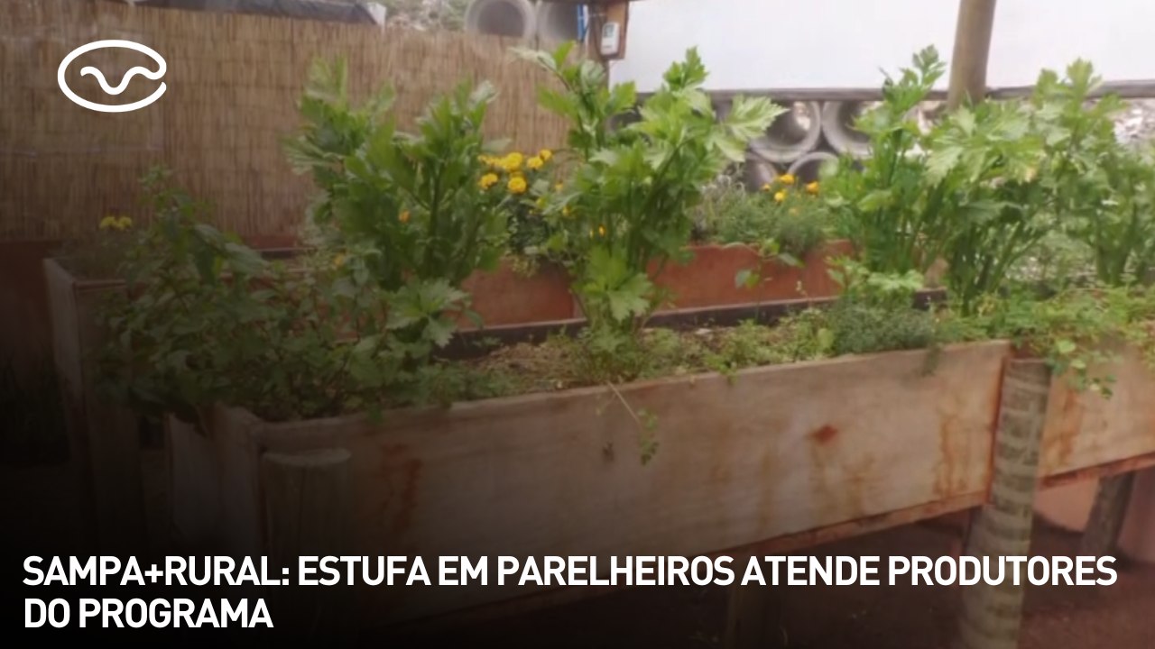 Sampa+rural: estufa em parelheiros atende produtores do programa