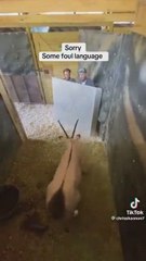 Cómo mover una gacela sin que te mate