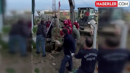Balıkesir'de Kuyuya Düşen Büyükbaş Hayvan Vinçle Kurtarıldı