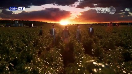 138. Tierra de Deseos (Terra e Paixao), en español