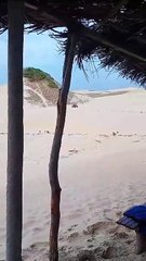 Veículos sem autorização são avistados em áreas ambientais em Aquiraz