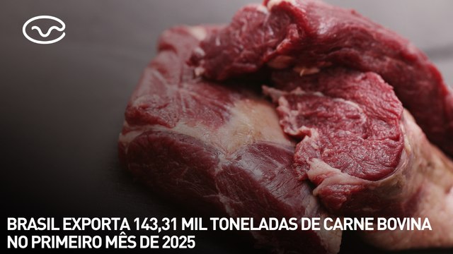 Brasil exporta 143,31 mil toneladas de carne bovina no primeiro mês de 2025