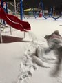 Aunt's Snowy Swing Fail