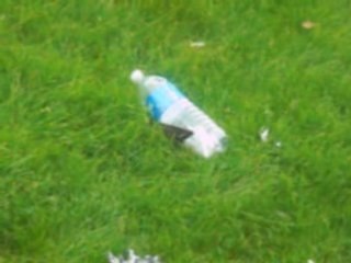 bombe ds le jardin de manu