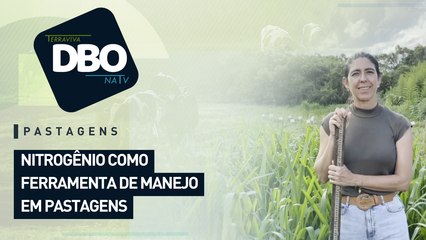 Pastagens: nitrogênio como ferramenta de manejo em pastagens