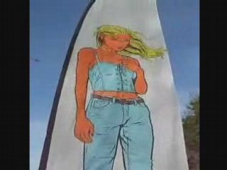 Somain .Festival de cerf-volants 2008