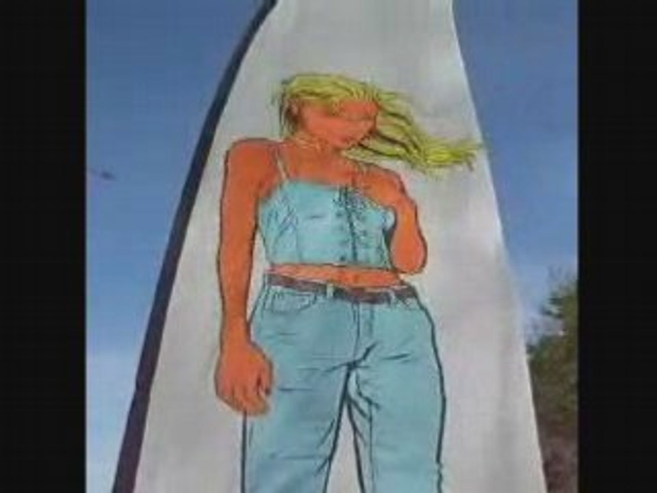 Somain .Festival de cerf-volants 2008