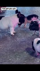 Why do they look like someone familiar to me?