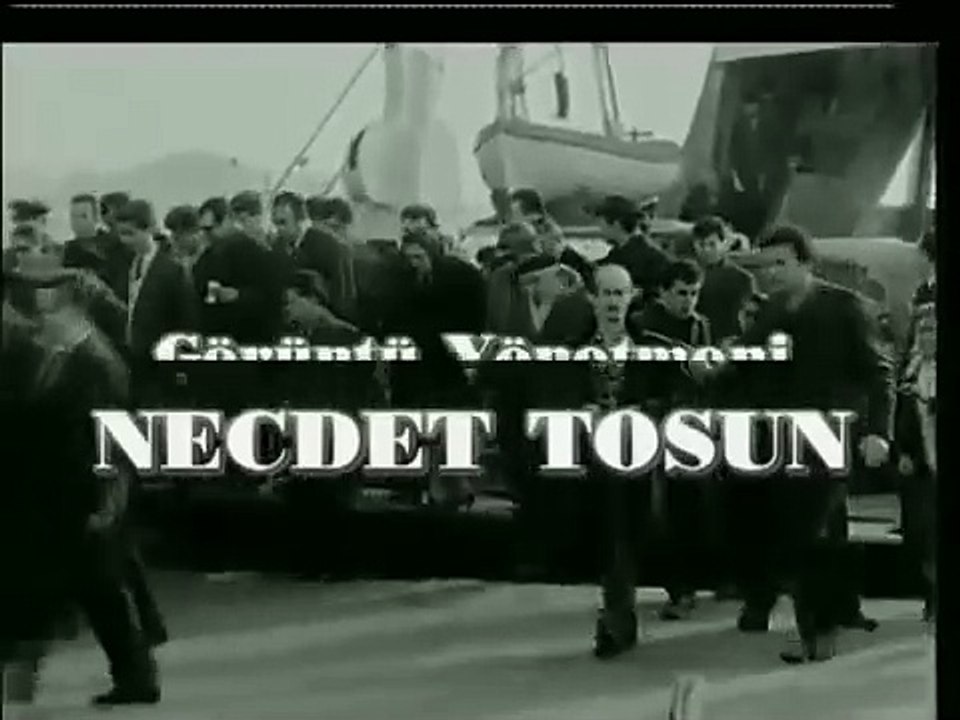 Kaldırım Çiçeği