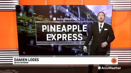 What is an atmospheric river and how is it connected to the 'Pineapple Express?'