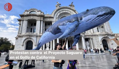 Protestan contra el Proyecto Saguaro en el Golfo de California