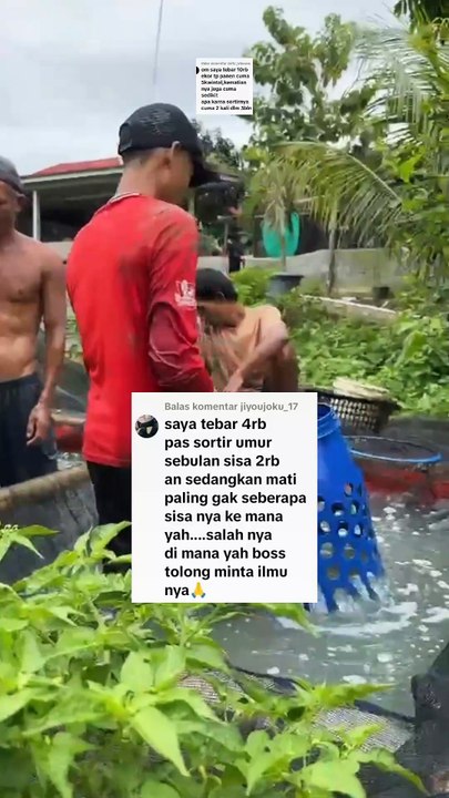 Tebar 10rb ekor panen cuma 5 kw masalah pasti dari SORTIR