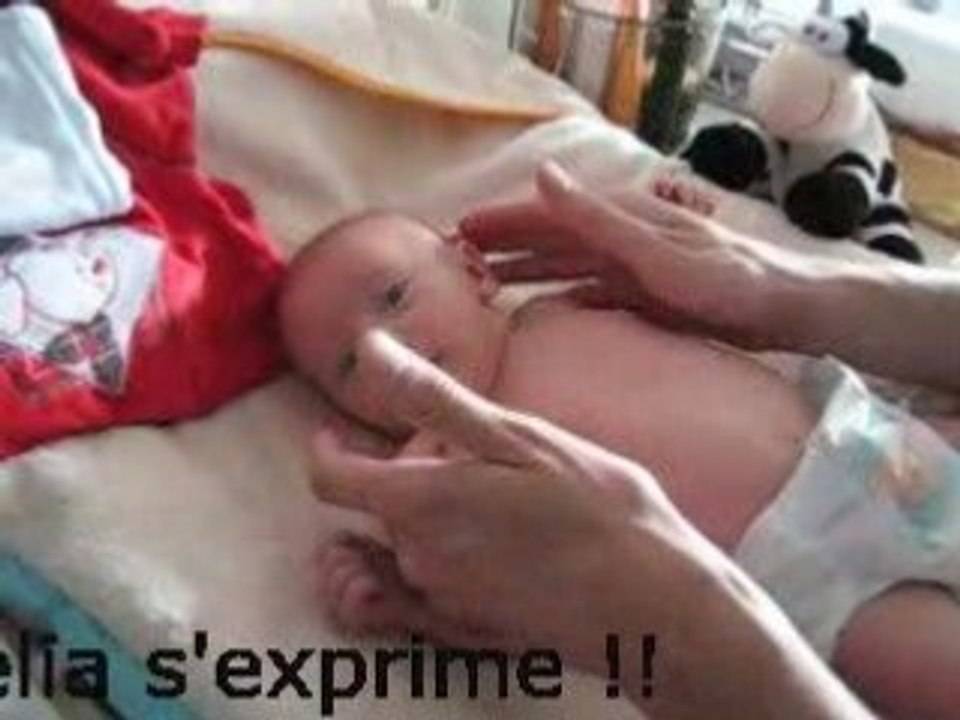 Gazouillis et...