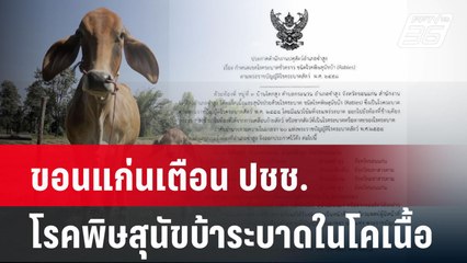 ขอนแก่นเตือน ปชช.โรคพิษสุนัขบ้าระบาดในโคเนื้อ  | โชว์ข่าวเช้านี้  |  30 ม.ค. 68